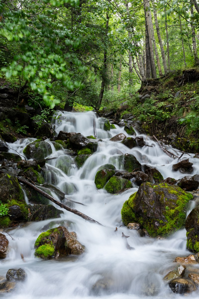 Falls Trail