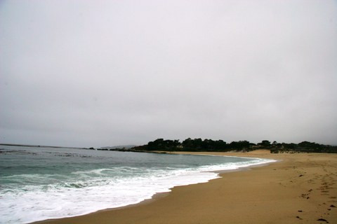IMG 9056 Full